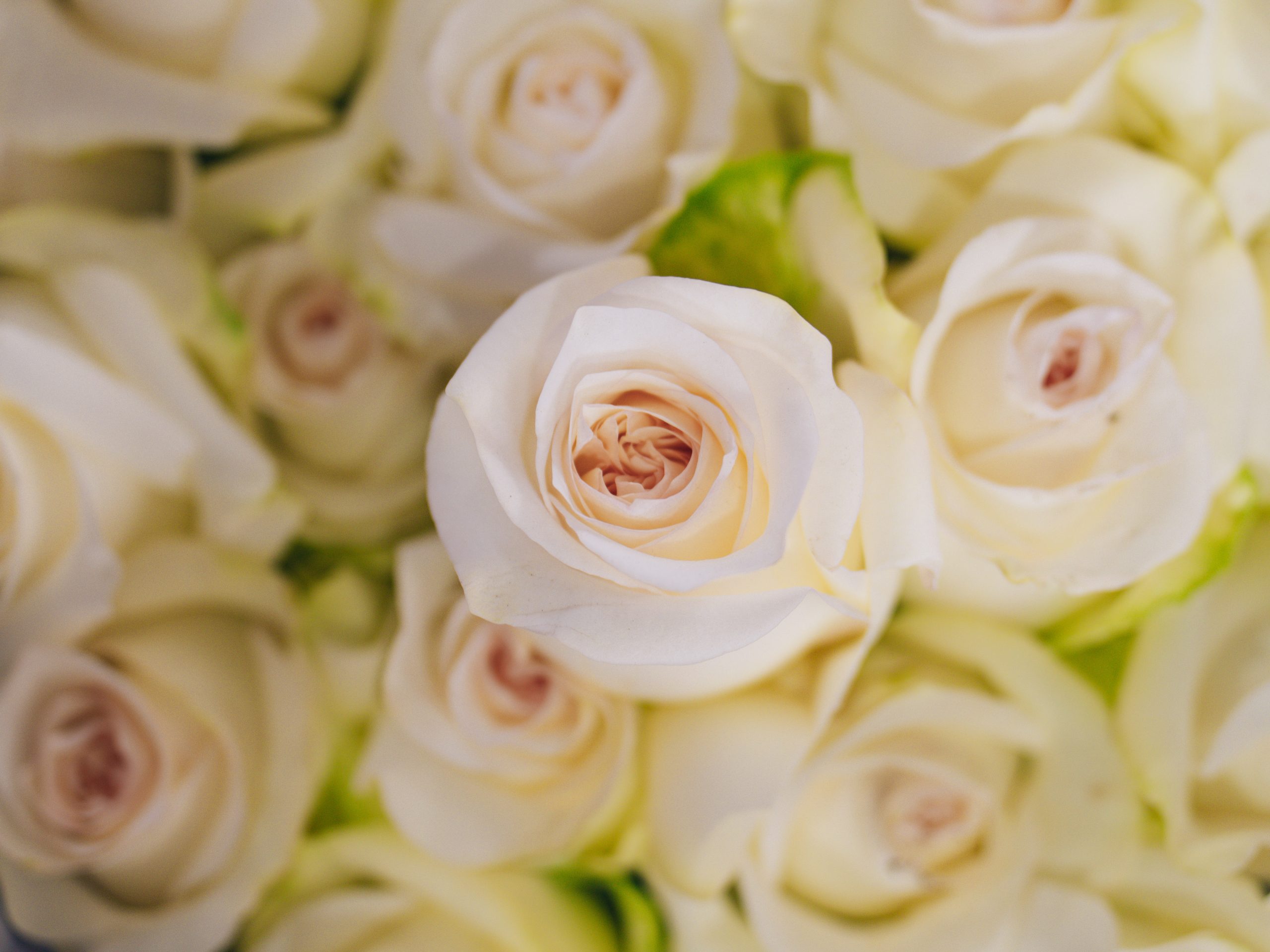 Image Slider