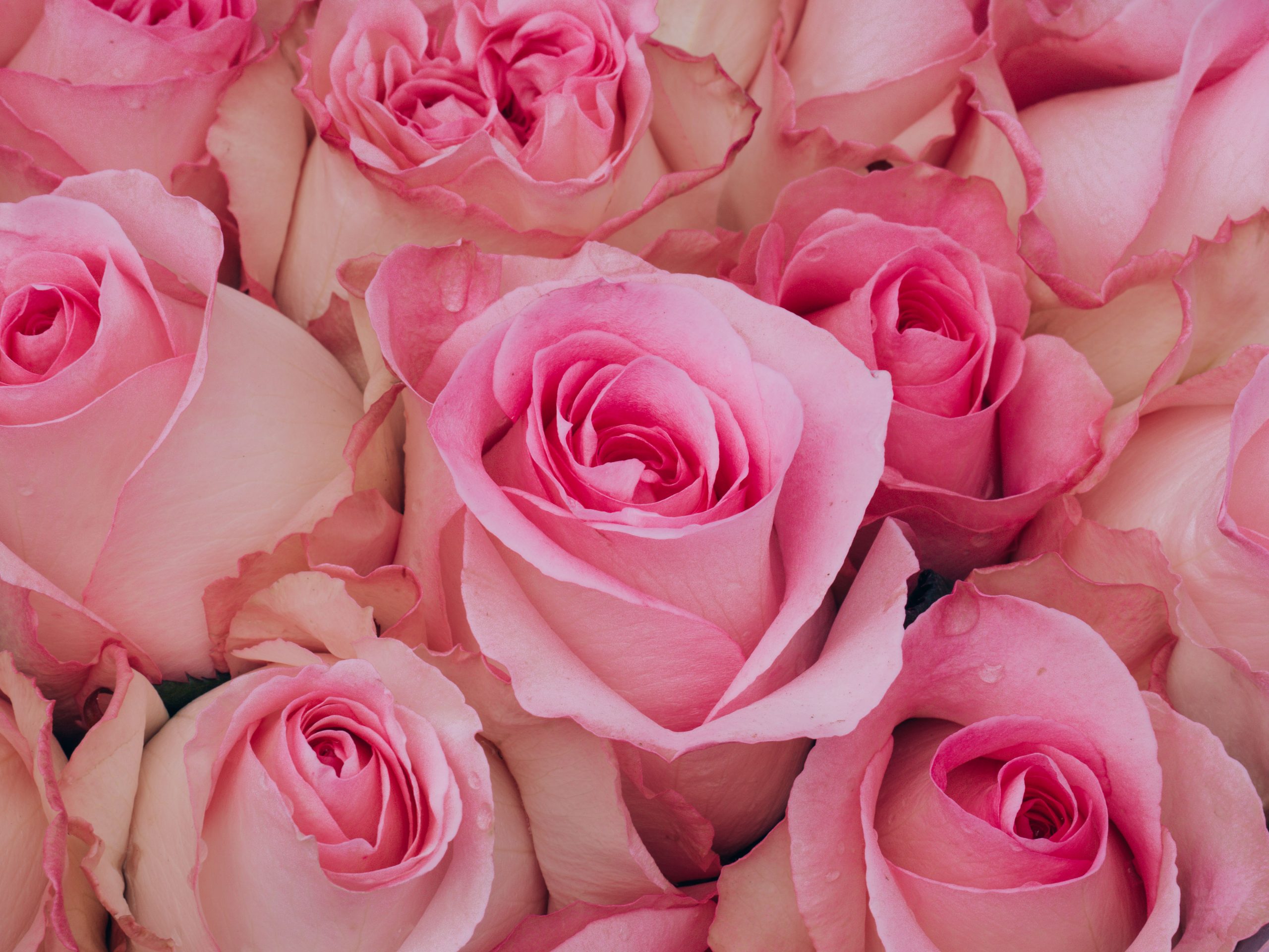 Image Slider