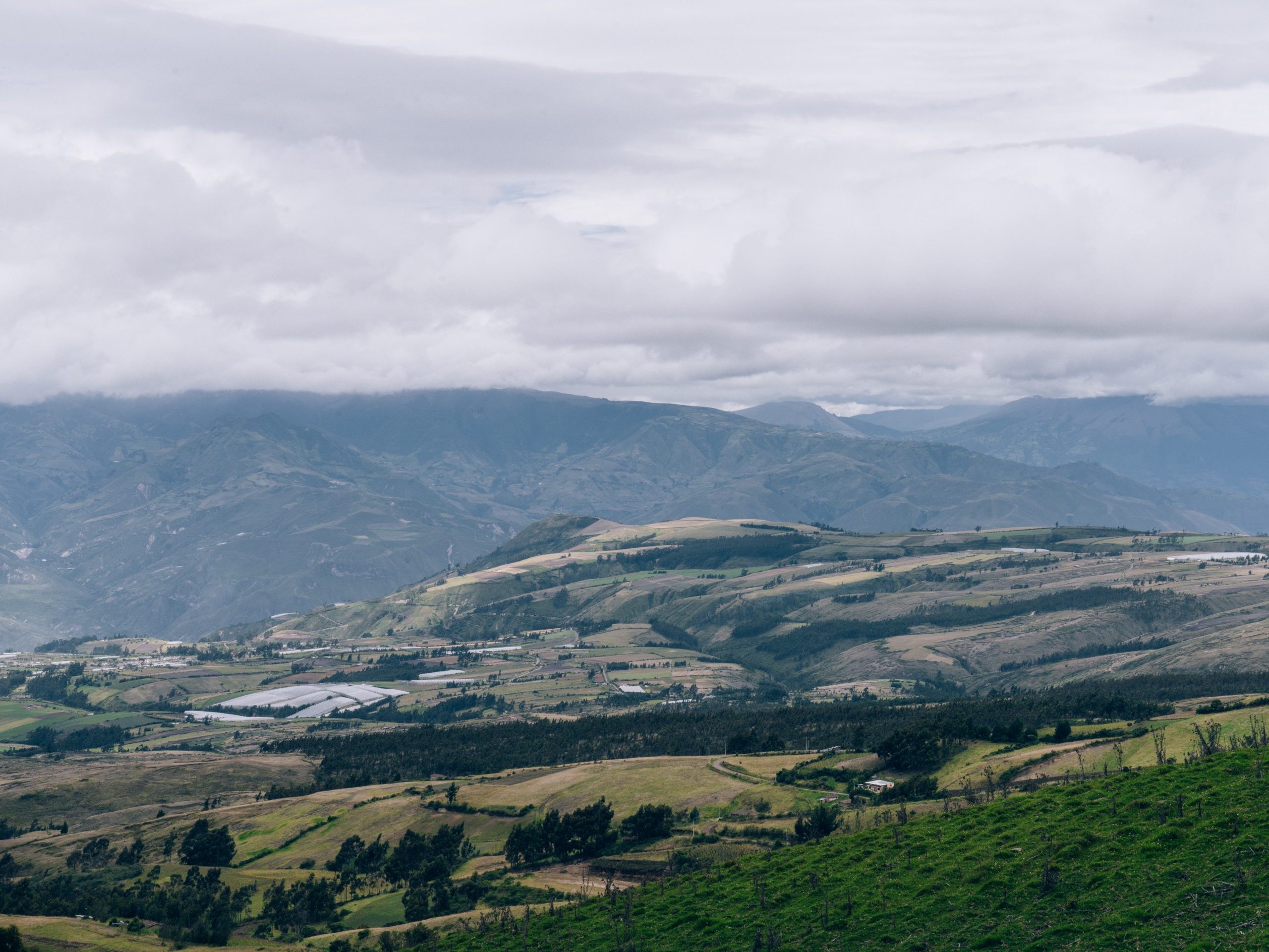 Image Slider