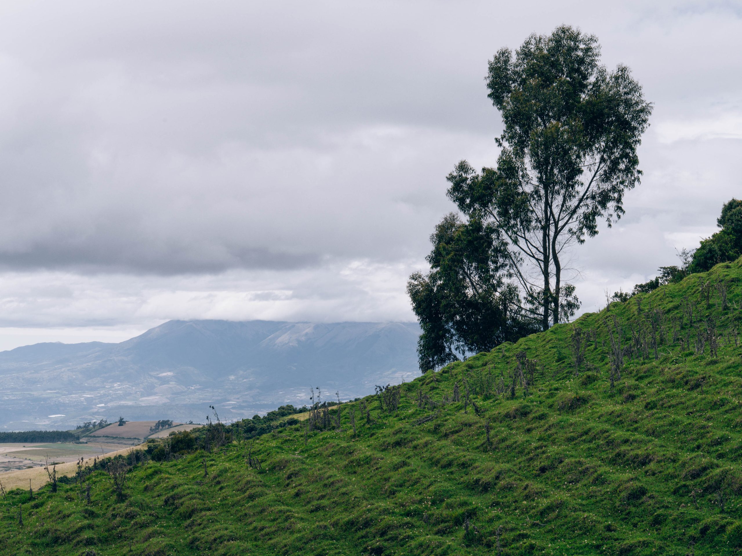 Image Slider
