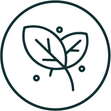 organico