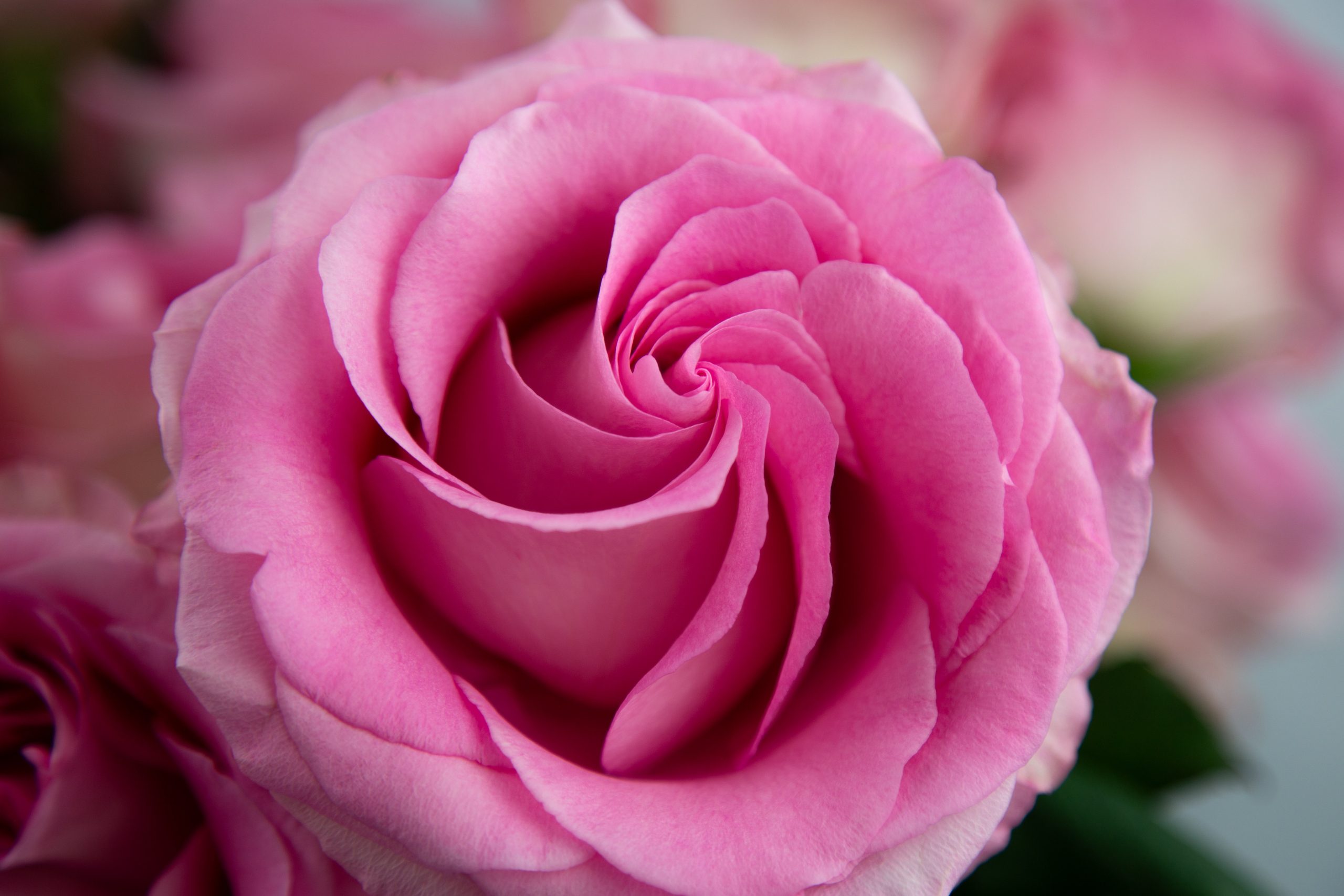 Image Slider